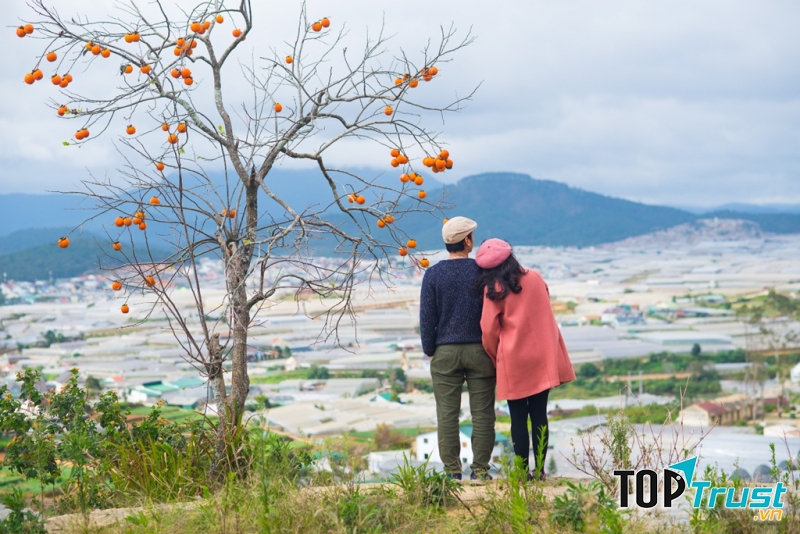 Tặng vé du lịch trong nước hoặc nước ngoài