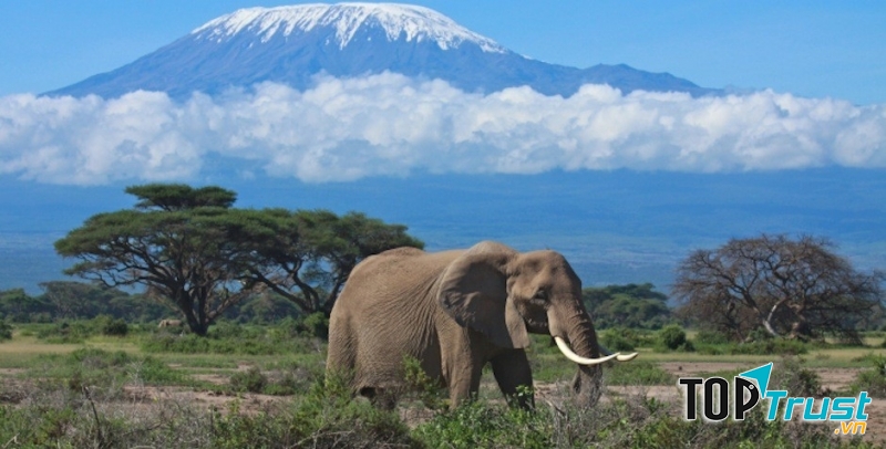Tanzania
