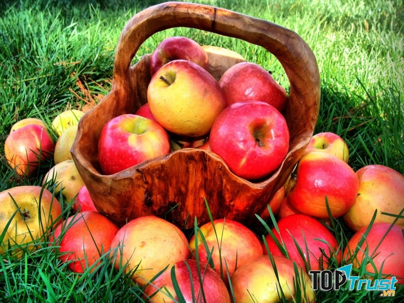 Ãn táo giúp ngăn chặn các bệnh về phổi