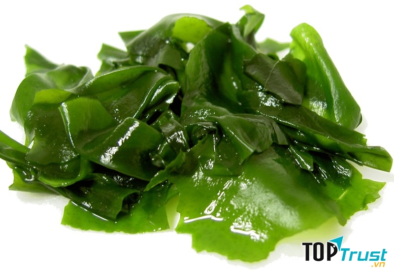 Tảo biển giúp năng cao sức đề kháng cho mẹ và thai nhi