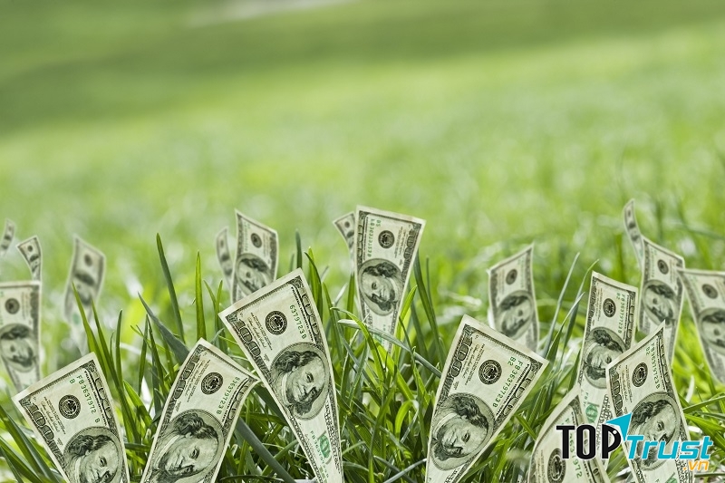 Để tiền sinh ra tiền