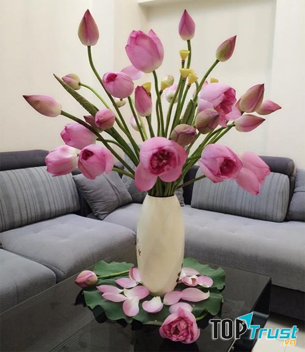 Tạo hương thơm dễ chịu trong nhà