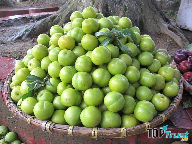 Bà bầu khi mang thai không nên ăn táo mèo