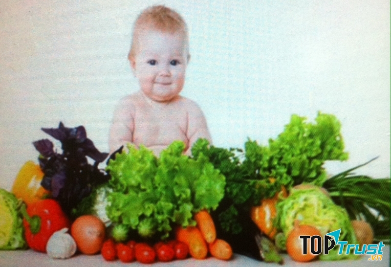 Tạo thói quen ăn uống khoa học