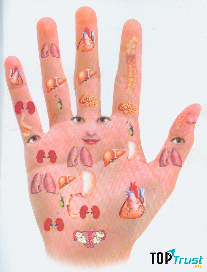 Cách chữa rối loạn tiền đình bằng cách tập vẫy tay đang được rất nhiều người áp dụng và đạt hiệu quả khả quan