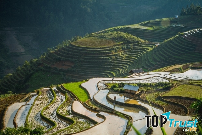 Mù Cang Chải nước đổ đẹp như tranh.