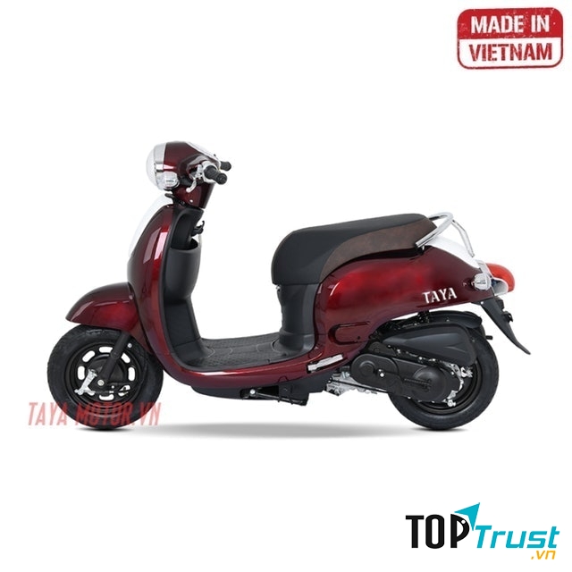 Taya Motor Giorno Luxury