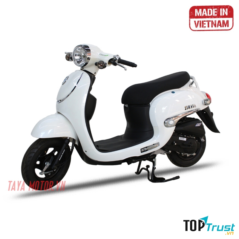 Taya Motor Giorno Luxury