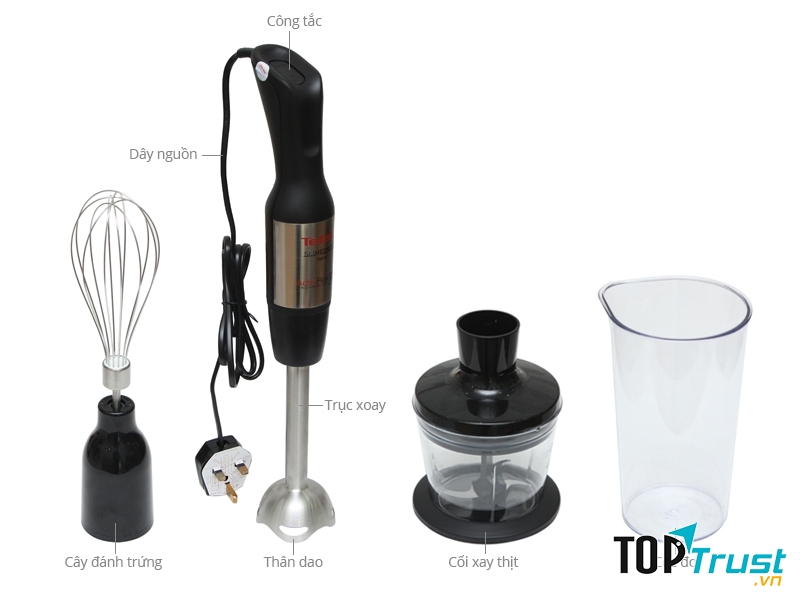 Máy xay sinh tố cầm tay Tefal HB 8538