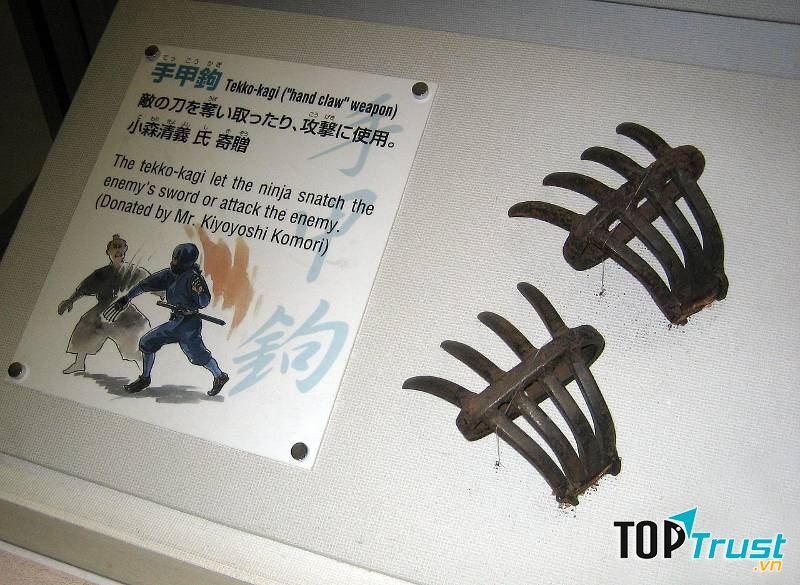 Có hình dạng đáng sợ như móng vuốt của Ma Sói