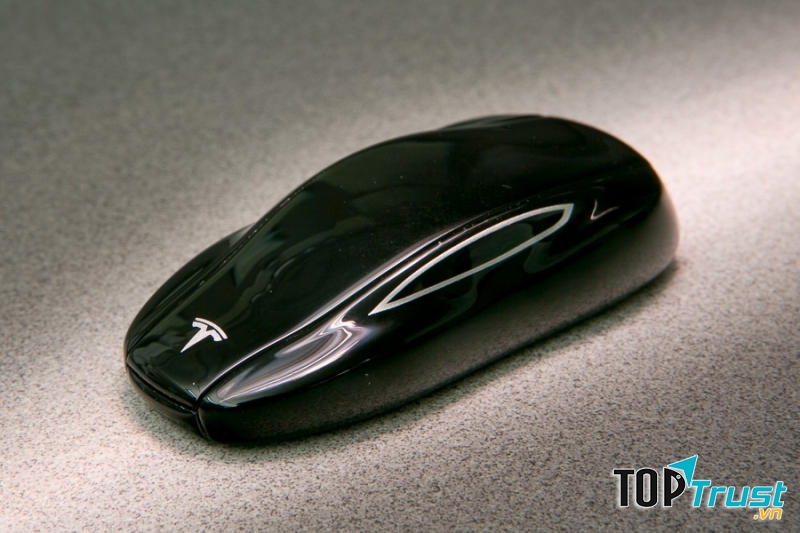 Telsa