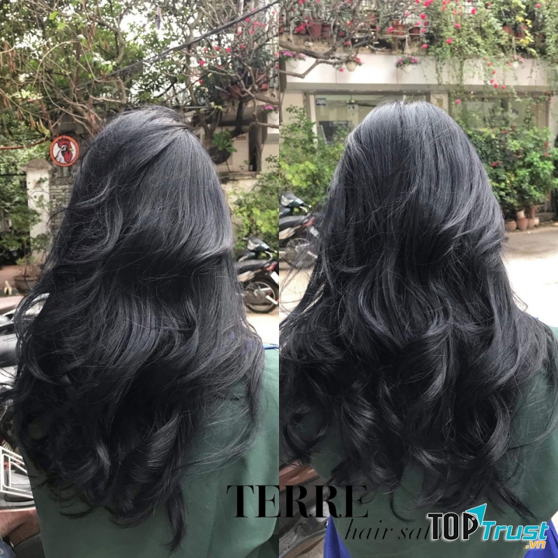 Terre Salon