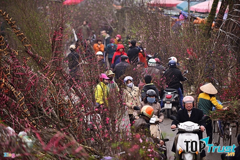 Chợ hoa, cây cảnh ngày Tết