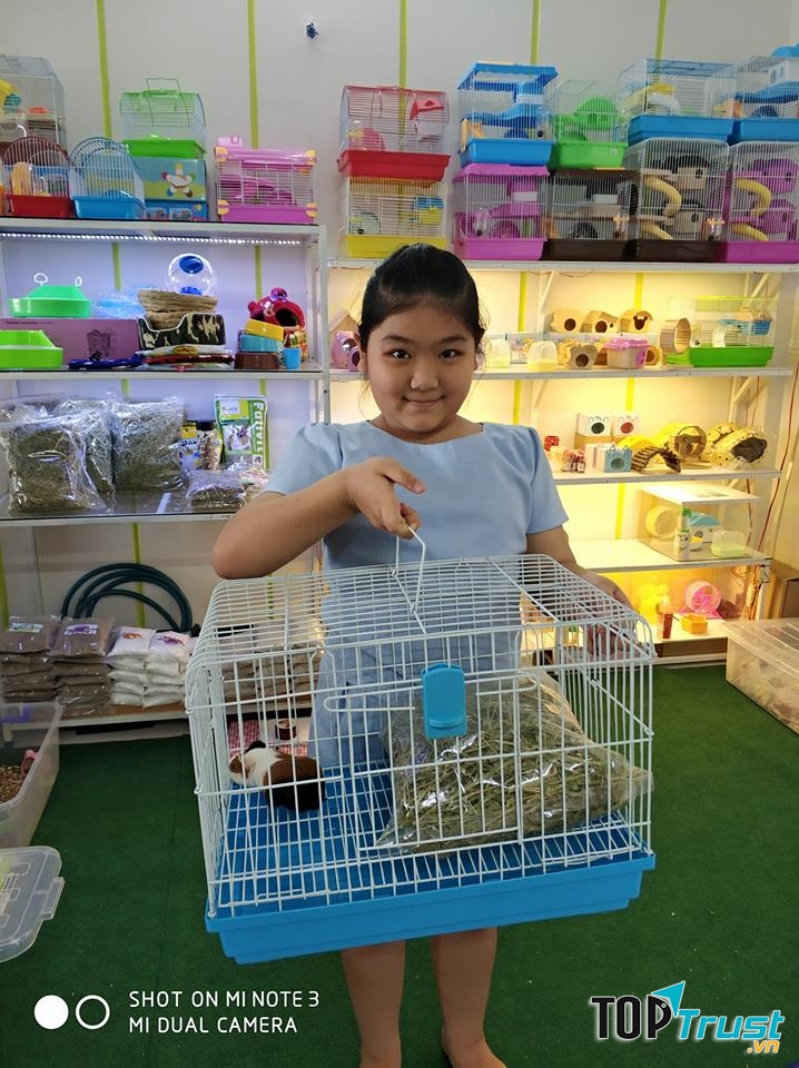 TH pet shop - Shop thú cưng Quy Nhơn