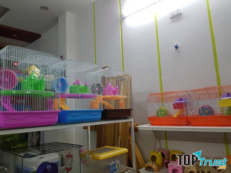 TH pet shop - Shop thú cưng Quy Nhơn