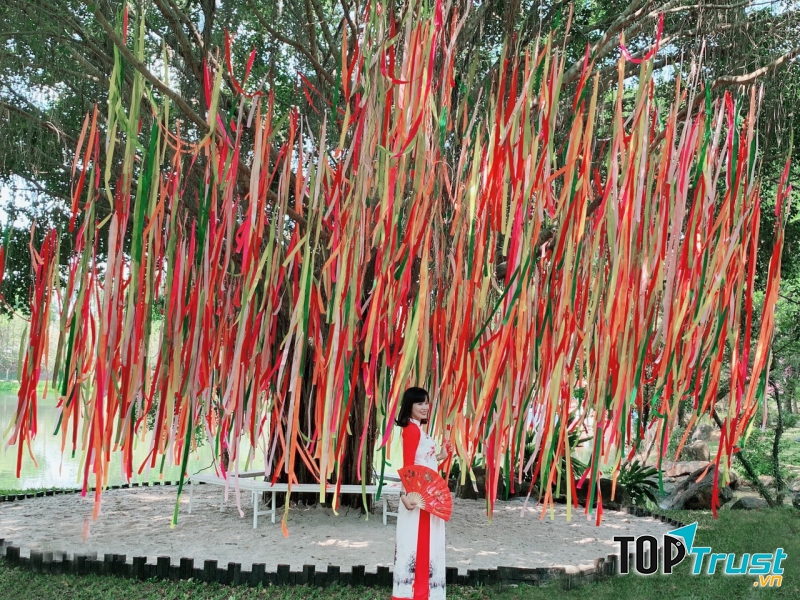 Cây ước nguyện.