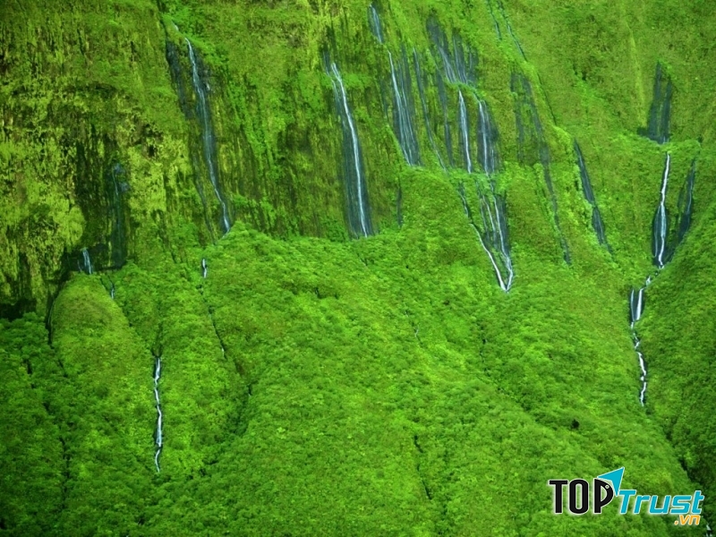 Thác Honokohau (Mỹ)