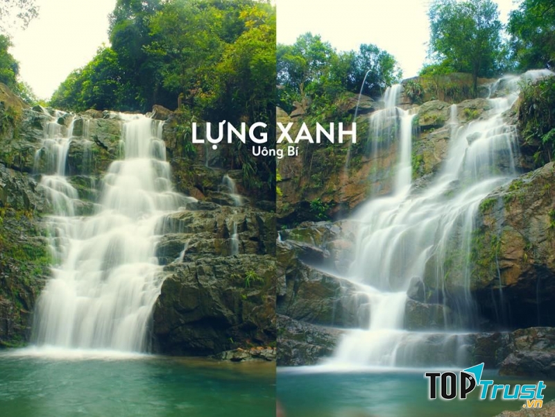 Lựng Xanh