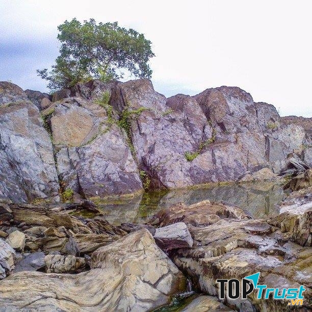 Nguồn từ Người Đồng Nai