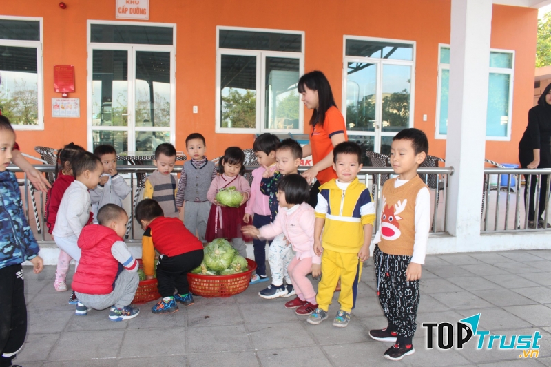 Thai Binh Sunflower Preschool
