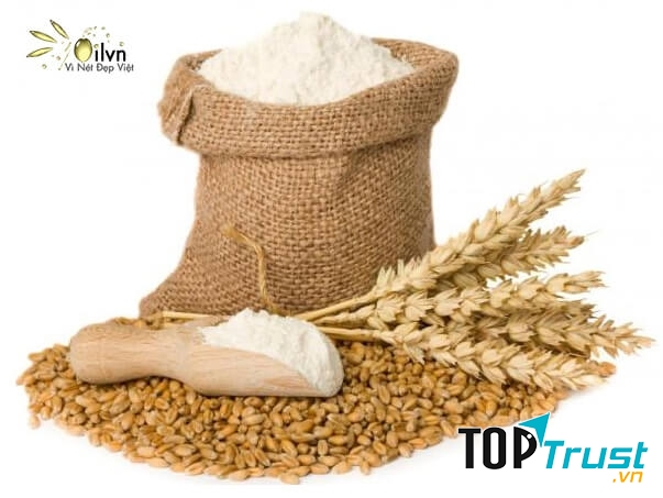 Thải độc nicotine bằng mầm lúa mì