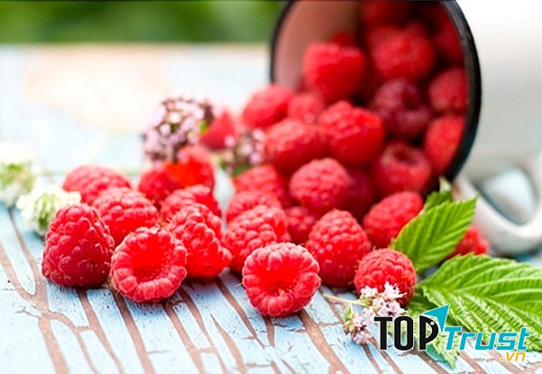 Phúc bồn tử là thực phẩm lí tưởng cho người cai thuốc lá