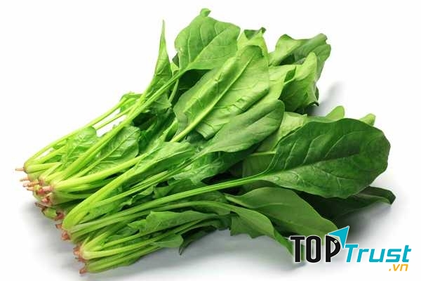 Thải độc nicotine bằng rau bina