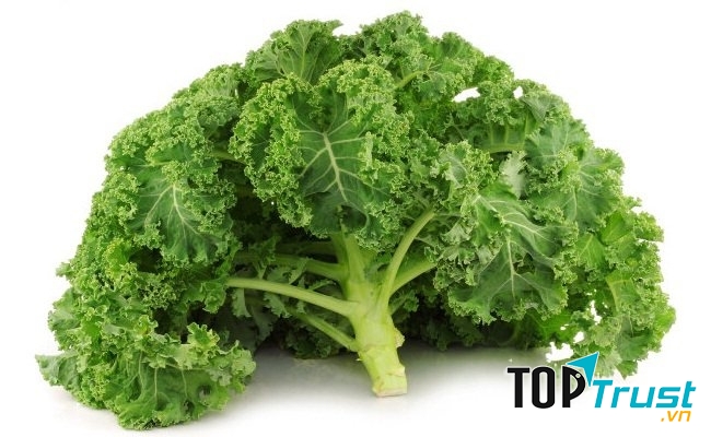 Thải độc nicotine bằng rau cải xoăn