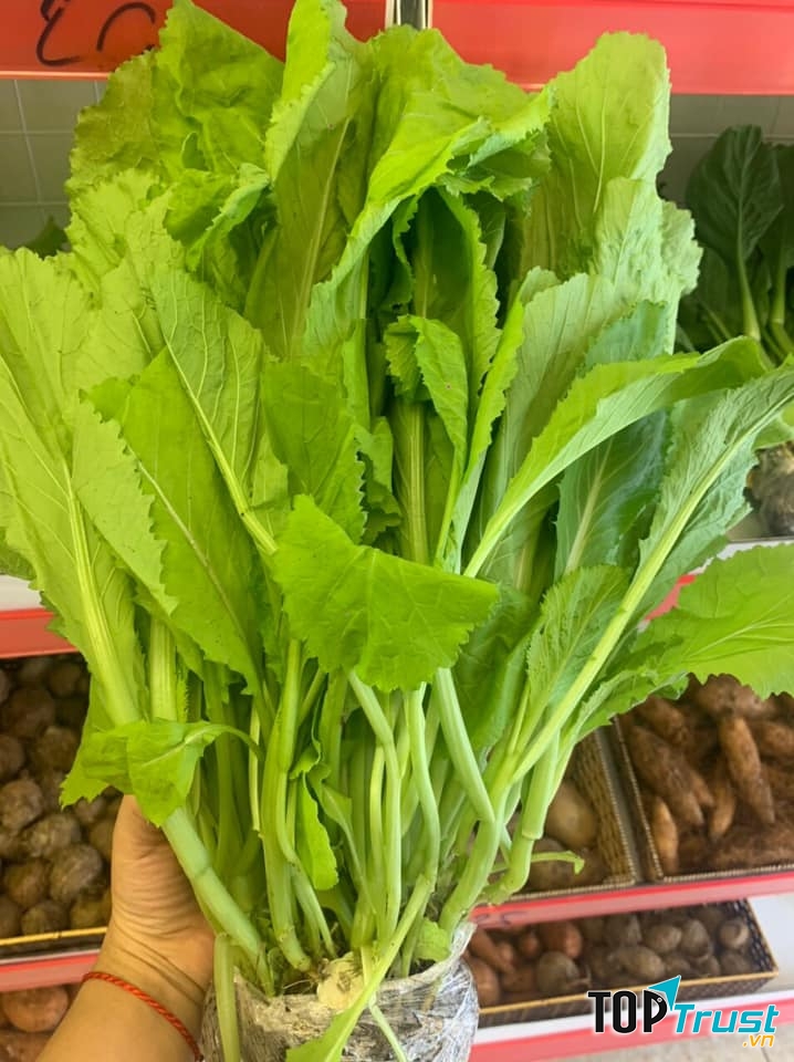 Thái Nguyên Green Farm