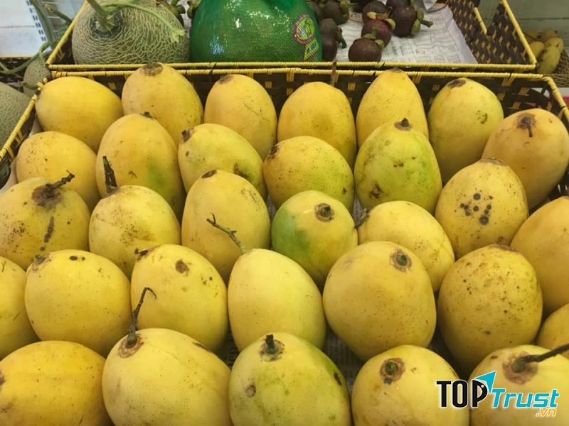 Thái Nguyên Green Farm