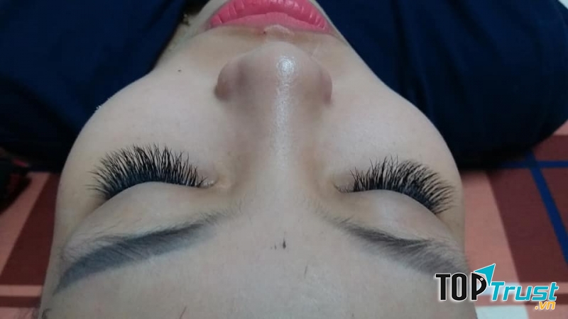 Thái Thảo Nối Mi
