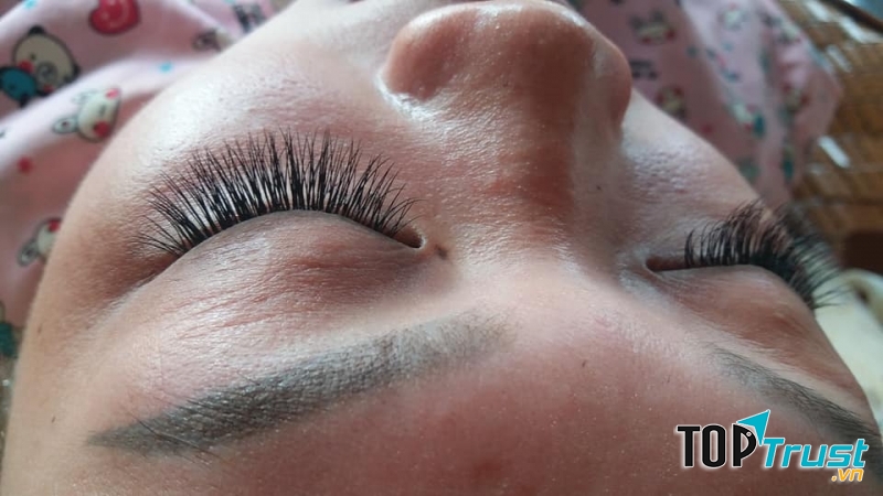 Thái Thảo Nối Mi