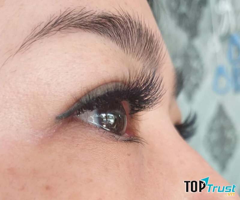 Thái Thảo Nối Mi