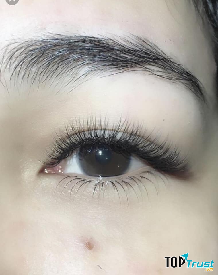 Thái Thảo Nối Mi