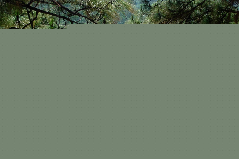 Danh thắng Côn Sơn