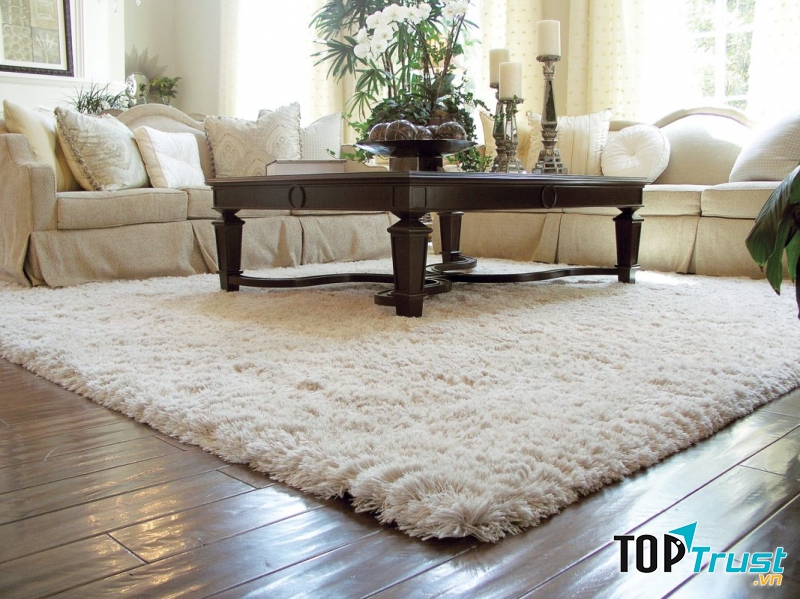 Không biết có bao nhiêu bụi bẩn, vi khuẩn từ giày dép đã quẹt lên tấm thảm mỗi ngày và mang vi khuẩn vào nhà