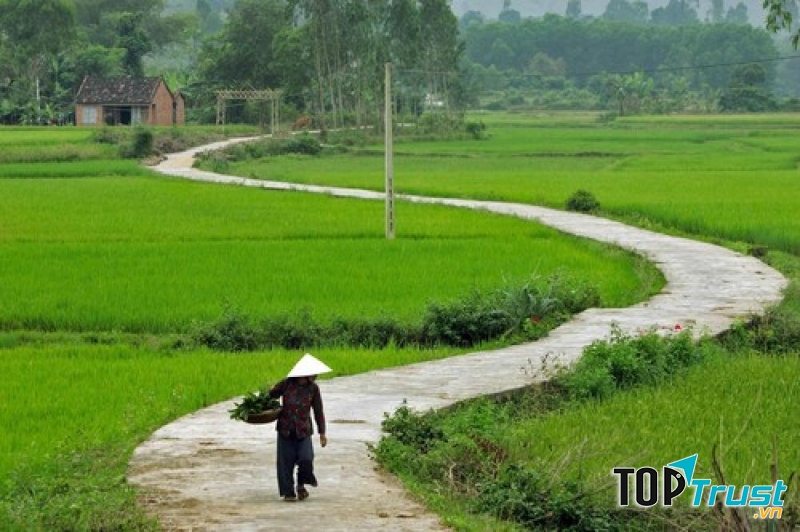 Trở về làng quê sau tháng năm dài xa cách, cái cảm giác ấy sao mà khó tả