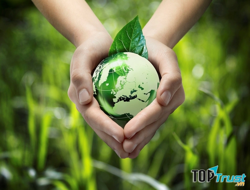 Sử dụng mooncup chính là biện pháp giúp giảm thải rác thải