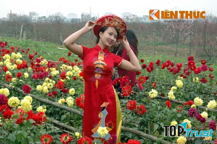 Hoa Thược Dược