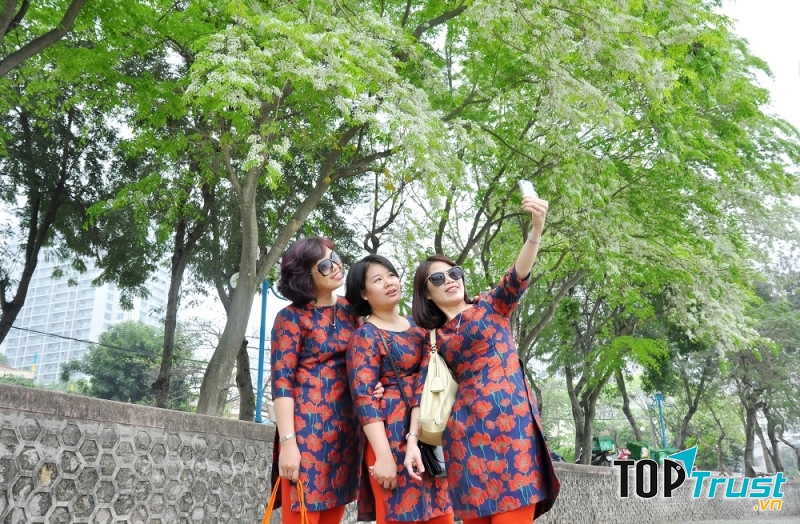 Tháng 2: Hoa Sưa - Bươm Bướm