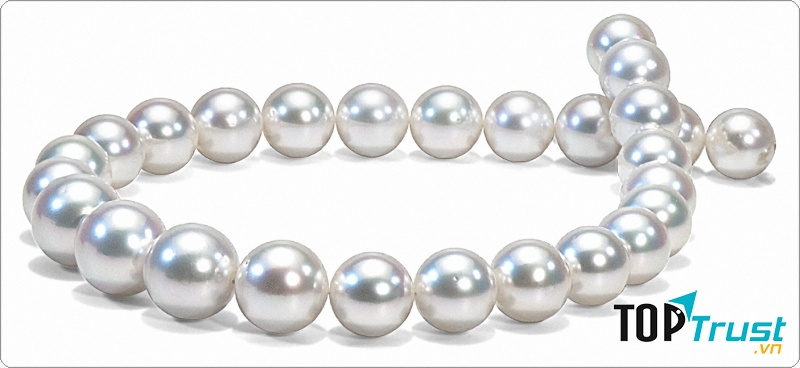 Biểu tượng cho sự khiêm tốn và phẩm tính cao quý