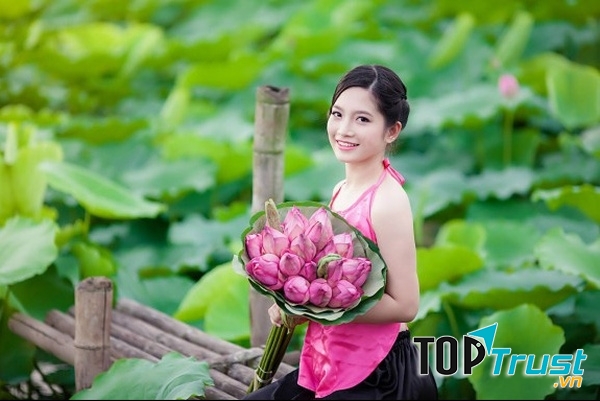 Hoa Sen được coi là quốc hoa của nước Việt Nam