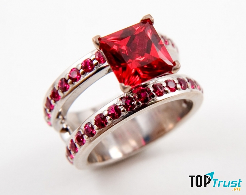 Giúp chủ nhân có cuộc sống bình yên và phòng ngừa bệnh nặng