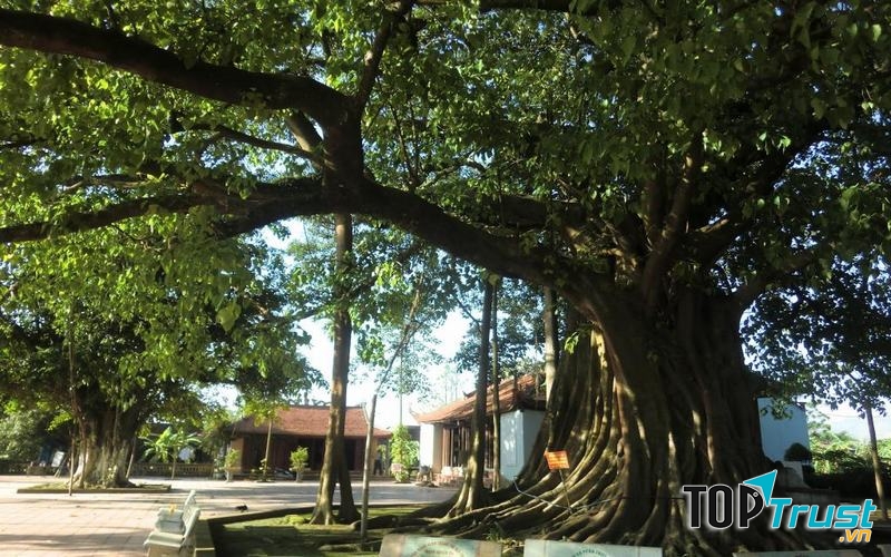 Di tích Thành Bản Phủ