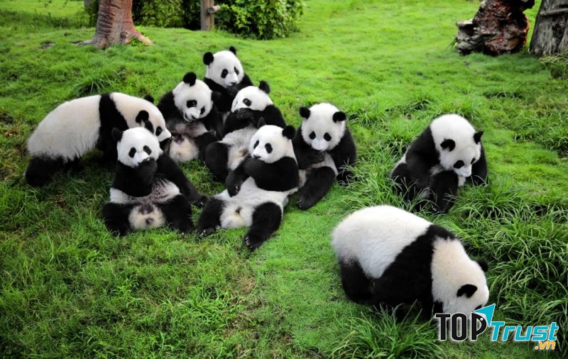 Thành Đô, Tứ Xuyên