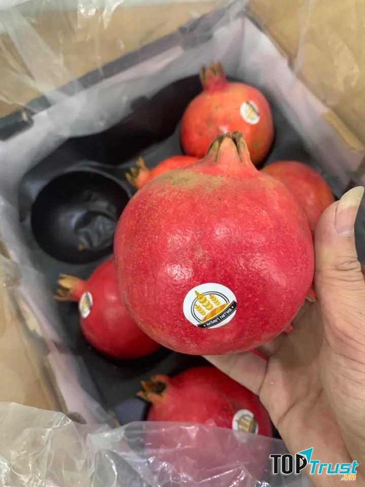 Thành Nam Fruit - Trái Cây Nhập Khẩu