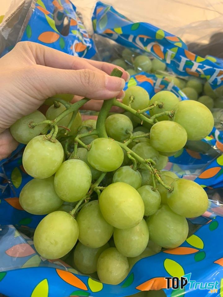 Thành Nam Fruit - Trái Cây Nhập Khẩu
