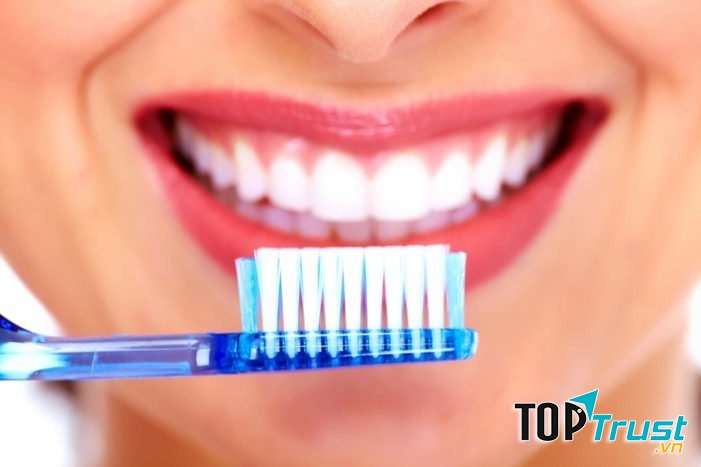 Thành phần của bàn chải