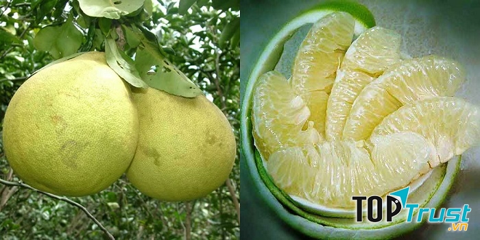 Thanh trà Thủy Biều