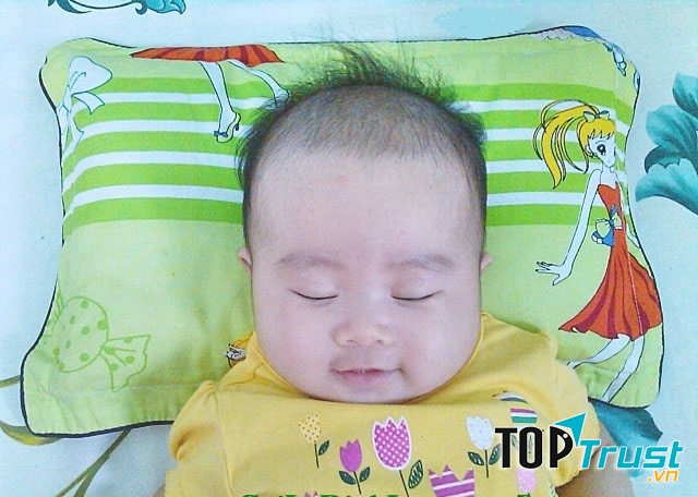 Thảo dược Thanh Bình mang sản phẩm gối đinh lăng ra thị trường làm giảm nỗi lo về giấc ngủ của trẻ